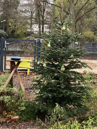 Weihnachtsbaum für Tiere im Schulgarten